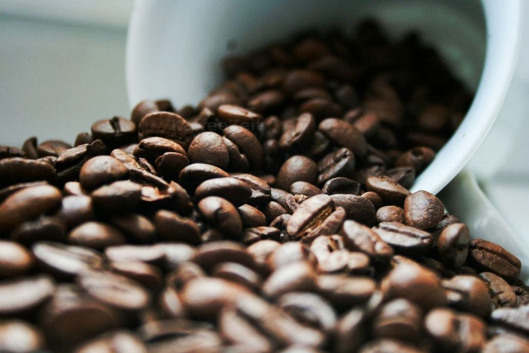 Kaffeeberatung und Bohnenempfehlungen